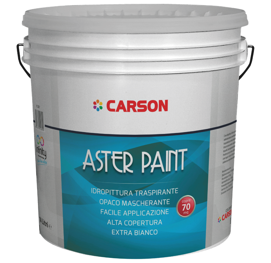 ASTER PAINT
